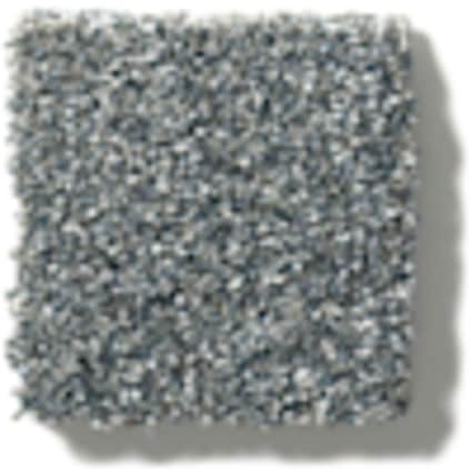 Shaw Hudson River Moonstone Texture Carpet with Pet Perfect Plus-Sample